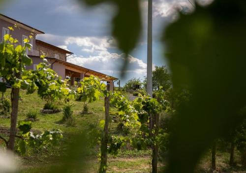 Навколишнє середовище, Agriturismo Il Borgo in Мірабелла-Еклано