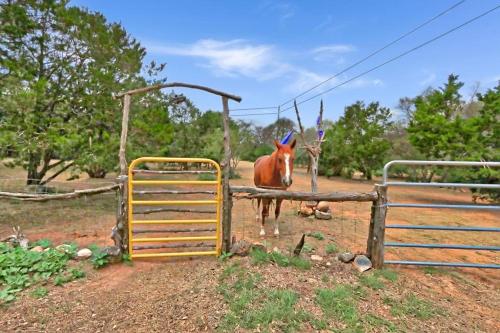 Three Horses Ranch - image 12