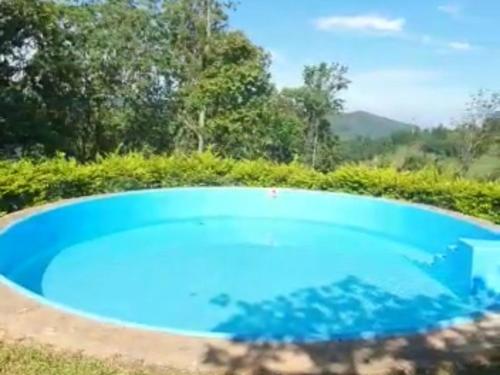 Swimming pool, Transcendence Galaha in Kandy