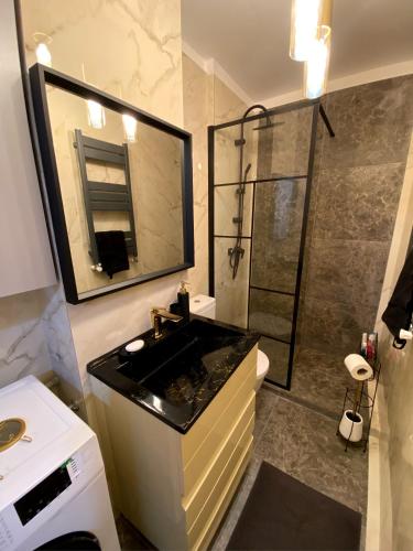 Lovely studio in the city center of Bucharest, Bucarest (foto 2)