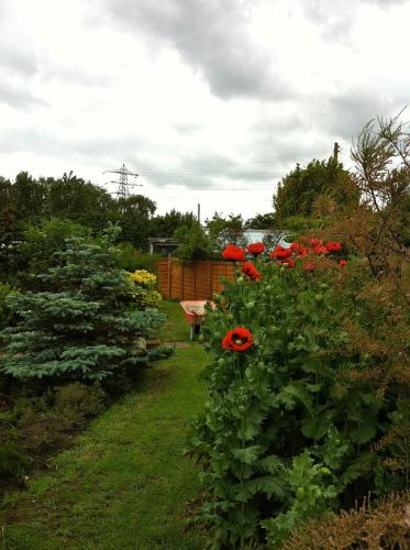 Fourwinds B&B - main image