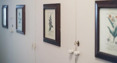  La Casa di Merion - affittacamere in Posatora