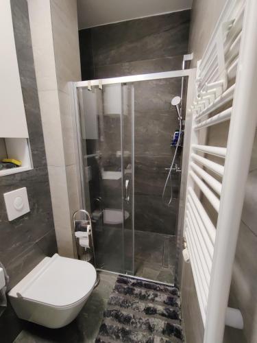 One-Bedroom Apartment image 5
