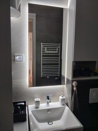 One-Bedroom Apartment image 4