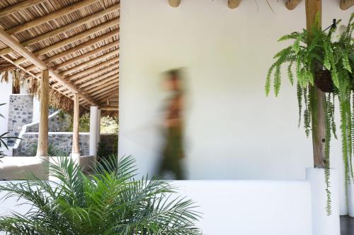 Vayu Retreat Villas