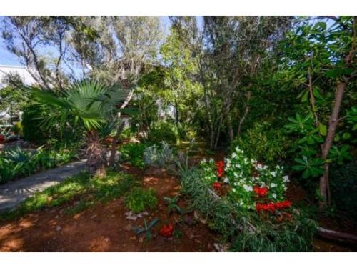 Apartment Krk 11646a - image 5