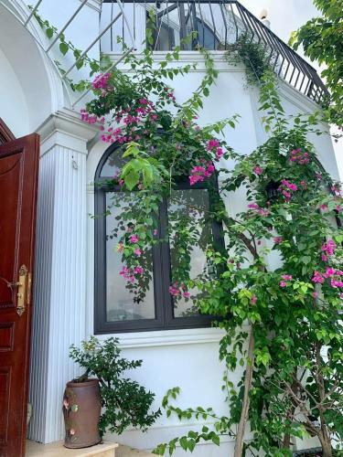 Villas Little White House Quê Vải