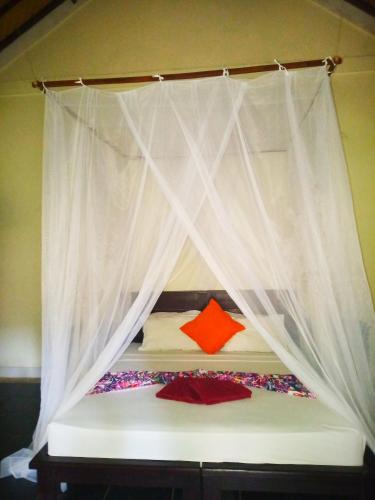 Mango Moon Room Type - Deluxe Double Room with Balcony