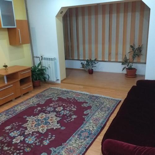 Apartament Sedamali - Apartment - Drobeta-Turnu Severin