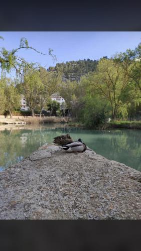 สภาพแวดล้อมโดยรอบ, Casas Rurales Sagasta in อัลกาลา เดลฆูการ์