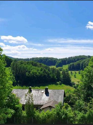 Odenwald-Lodge mit Infrarotsauna und E-Ladestation im Naturpark Odenwald "Haus Himmelblau"