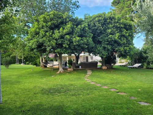 Luxury villa next to the beach with huge garden