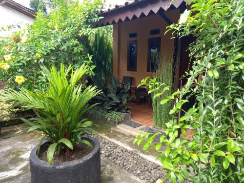 Juda Homestay