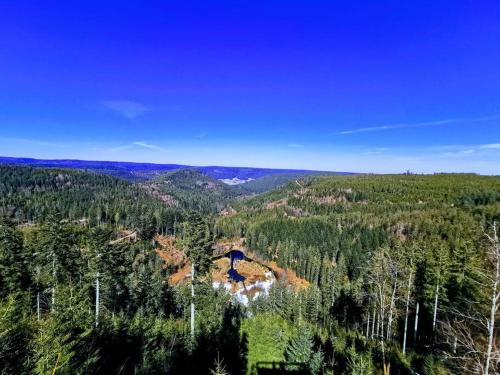 Traumhafte Maisonette-Wohnung im Schwarzwald