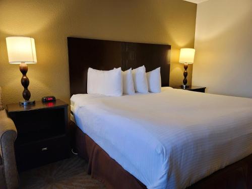 Best Western Plus Seville Plaza Hotel - image 11