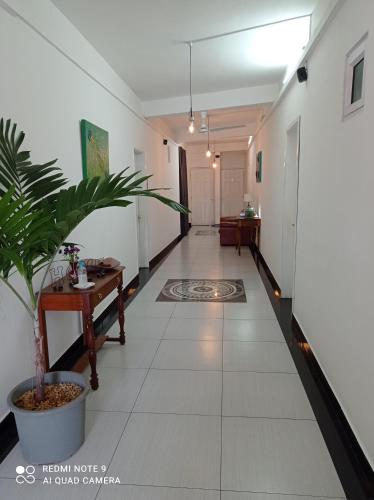 Hello Guest House 4