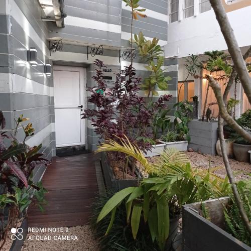 Hello Guest House, Mauritius