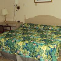 Dixie Plaza Motel - image 6