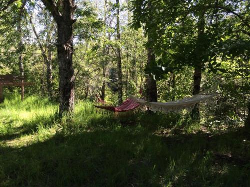 Ecoreserva Quelhue Lodge y Cabañas