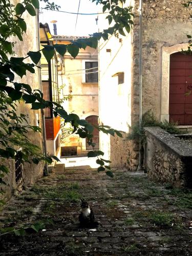 Casetta Mimì (Casetta Mimi) in San Pio Delle Camere