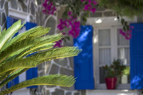 Paradise Resort - image 9