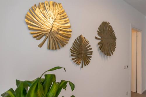 Car.Ma - comfy rooms