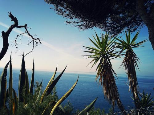 Le Paradis Bleu Calanque de Figuières, paddle et veranda