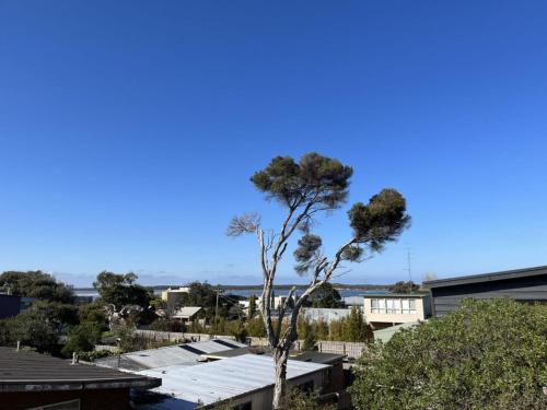 Luxury on Bayview Wifi Linen included, Inverloch (fotografie 3)
