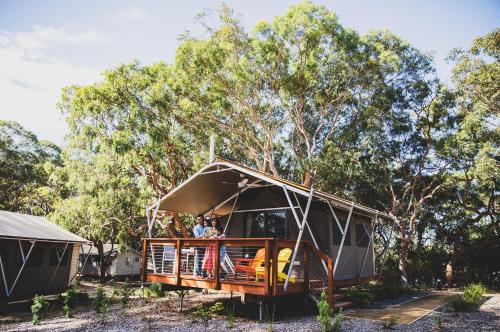 Port Stephens Koala Sanctuary