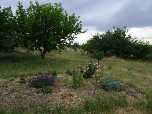 Kilátás, Meander Retreat - Garden Studio with dog park in Springton