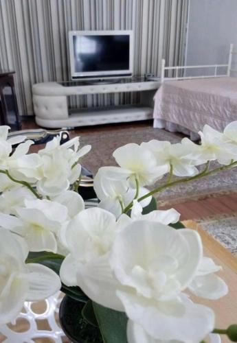 Singgah Keluarga Homestay Taman Merdeka Melaka for Islam sahaja