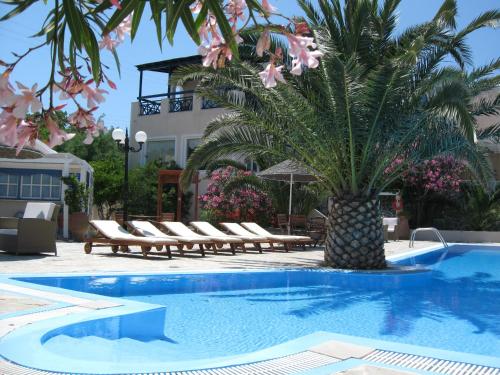 Paradise Resort - image 6