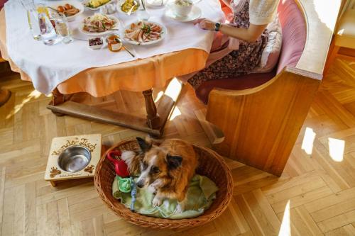 Almfrieden Hotel & Romantikchalet - image 5