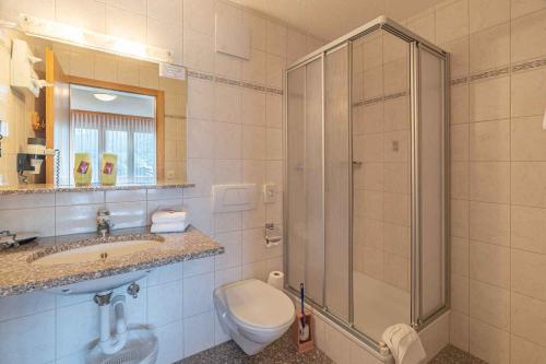 Alpenblick Wellnesshotel - image 13