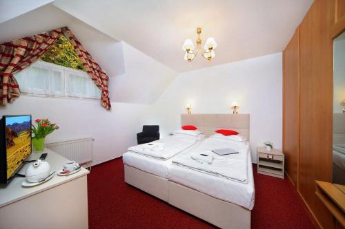 Hotel Hradec - image 12