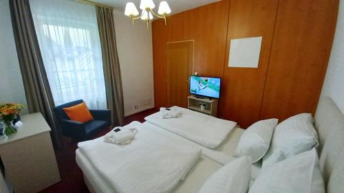 Hotel Hradec Room Type - Double Room