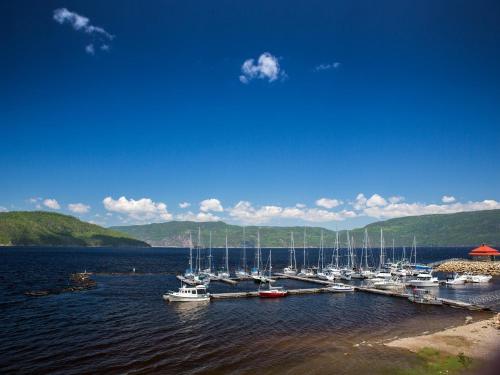 Iekārtas, Chalets Condos sur le Fjord in Lensendžīna (QC)