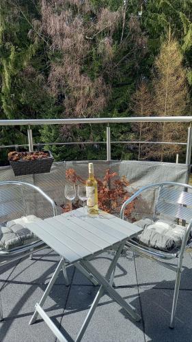 Harrachovsky apartman in Harrachov