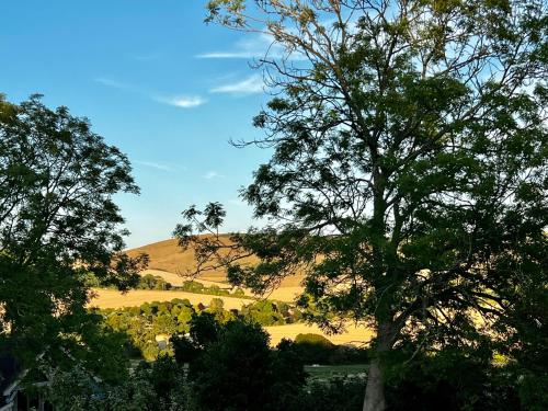 Robins Retreat - orchard with hot tub - see extras