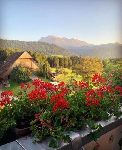  Apartment auf dem Bauernhof in Luzern