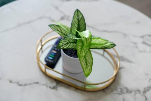 2BR 1BA Duplex House King Beds Great for Small Groups Close to All Uptown Charlotte attractions 2BR 1BA Duplex House King Beds Great for Small Groups Close to All Uptown Charlotte attractions