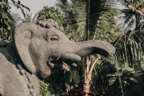 Queen at Gunung Sari – Ubud, CO