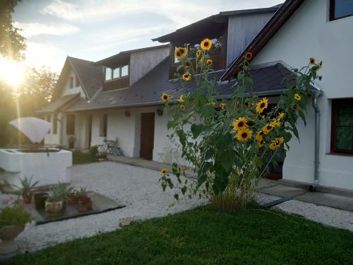 Kutny Residence -Chateau Schaal - Accommodation - Hegyhátsál