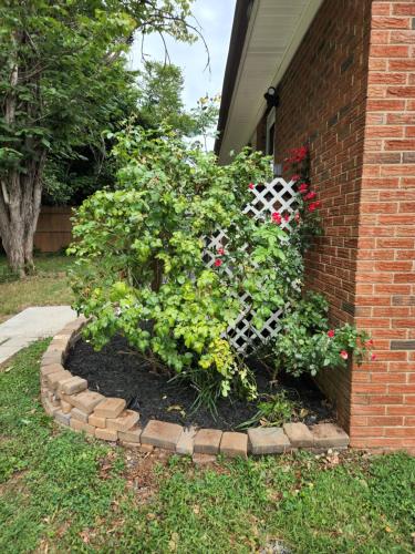 2BR 1BA Duplex House King Beds Great for Small Groups Close to All Uptown Charlotte attractions 2BR 1BA Duplex House King Beds Great for Small Groups Close to All Uptown Charlotte attractions