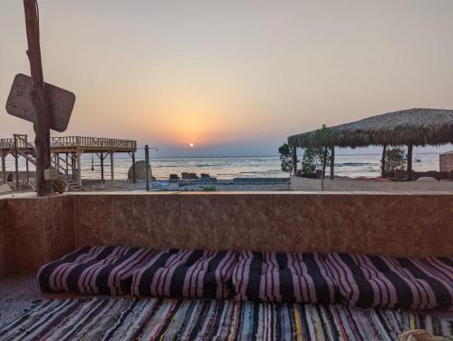 Sinai Life Beach Camp