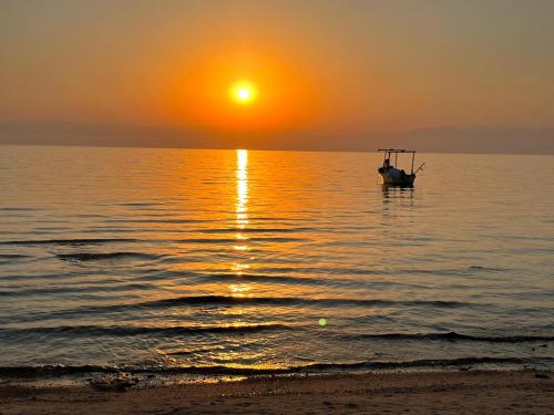 Sinai Life Beach Camp