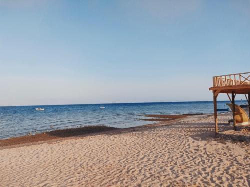 Sinai Life Beach Camp