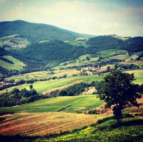 C'era una volta a Piozzano Casa Rustica gîte à louer Arola