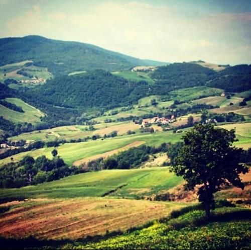 C'era una volta a Piozzano Casa Rustica - Chalet - Piozzano