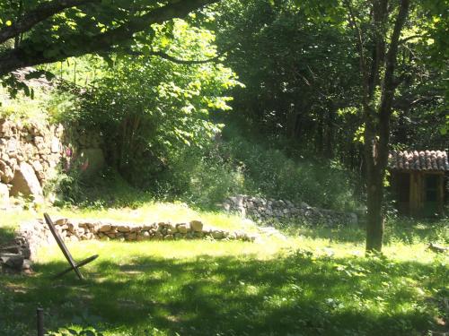 Grande Tente Tipi en pleine forêt